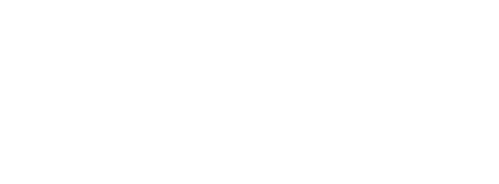 The CITIZEN Caliber 0200